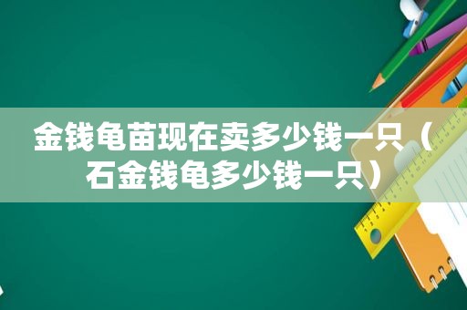 金钱龟苗现在卖多少钱一只（石金钱龟多少钱一只）