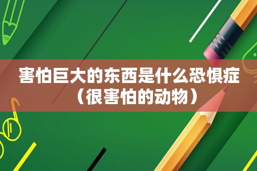 害怕巨大的东西是什么恐惧症（很害怕的动物）