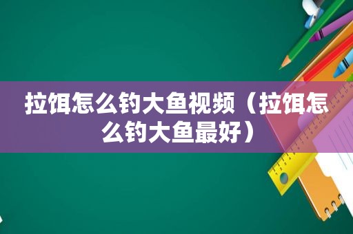 拉饵怎么钓大鱼视频（拉饵怎么钓大鱼最好）