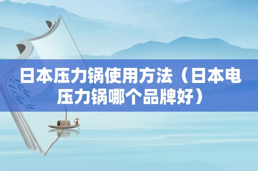 日本压力锅使用方法（日本电压力锅哪个品牌好）