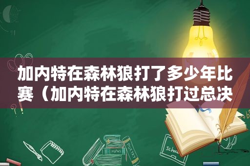 加内特在森林狼打了多少年比赛（加内特在森林狼打过总决赛吗）