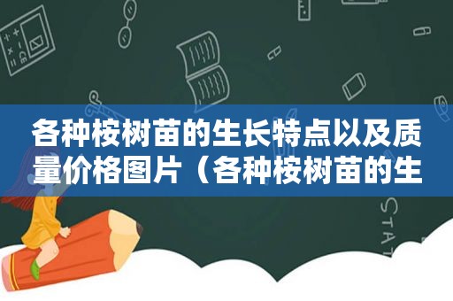 各种桉树苗的生长特点以及质量价格图片（各种桉树苗的生长特点以及质量价格对比）