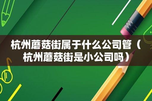 杭州蘑菇街属于什么公司管（杭州蘑菇街是小公司吗）