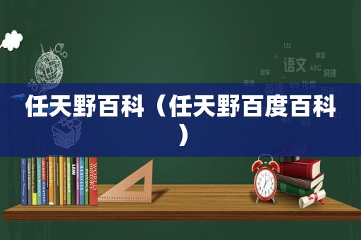 任天野百科（任天野百度百科）