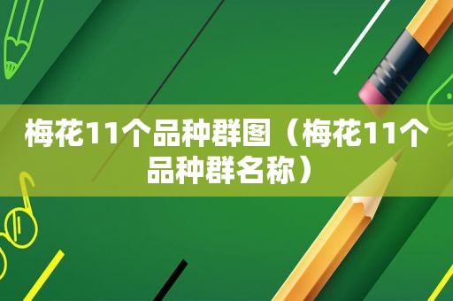 梅花11个品种群图（梅花11个品种群名称）