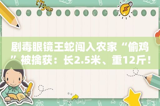 剧毒眼镜王蛇闯入农家“偷鸡”被擒获：长2.5米、重12斤！为何此地多蛇类活动？