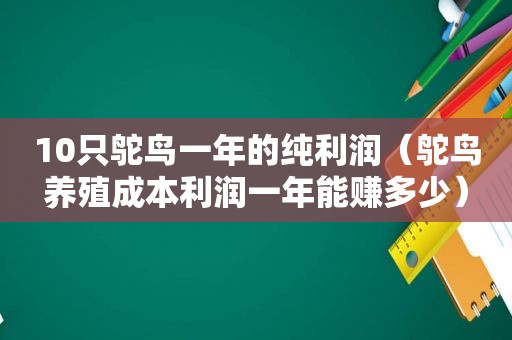 10只鸵鸟一年的纯利润（鸵鸟养殖成本利润一年能赚多少）