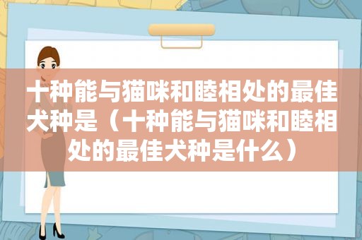 十种能与猫咪和睦相处的最佳犬种是（十种能与猫咪和睦相处的最佳犬种是什么）