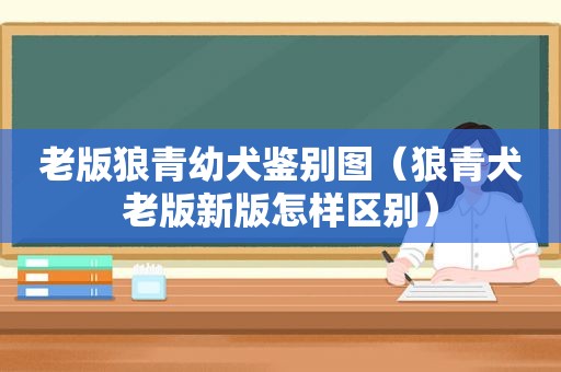 老版狼青幼犬鉴别图（狼青犬老版新版怎样区别）