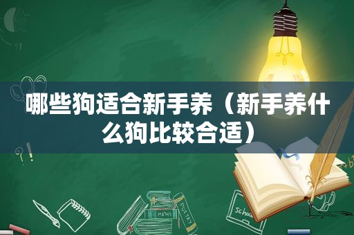 哪些狗适合新手养（新手养什么狗比较合适）