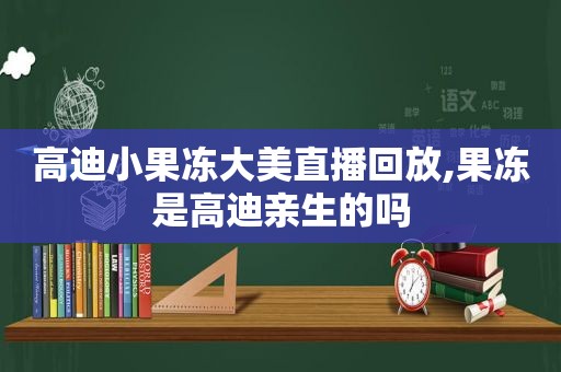 高迪小果冻大美直播回放,果冻是高迪亲生的吗