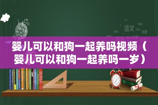 婴儿可以和狗一起养吗视频（婴儿可以和狗一起养吗一岁）