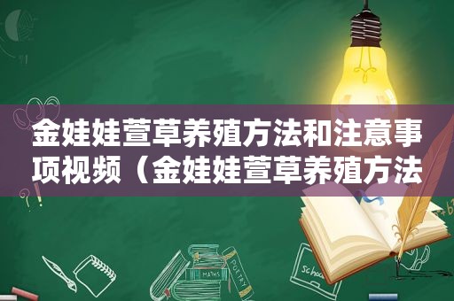 金娃娃萱草养殖方法和注意事项视频（金娃娃萱草养殖方法和注意事项图片）