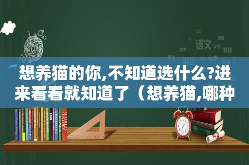 想养猫的你,不知道选什么?进来看看就知道了（想养猫,哪种比较好）