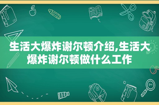 生活大爆炸谢尔顿介绍,生活大爆炸谢尔顿做什么工作