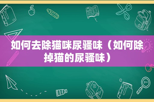 如何去除猫咪尿骚味（如何除掉猫的尿骚味）