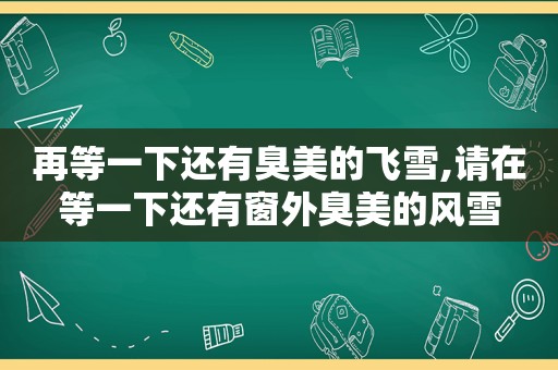 再等一下还有臭美的飞雪,请在等一下还有窗外臭美的风雪