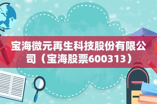 宝海微元再生科技股份有限公司（宝海股票600313）