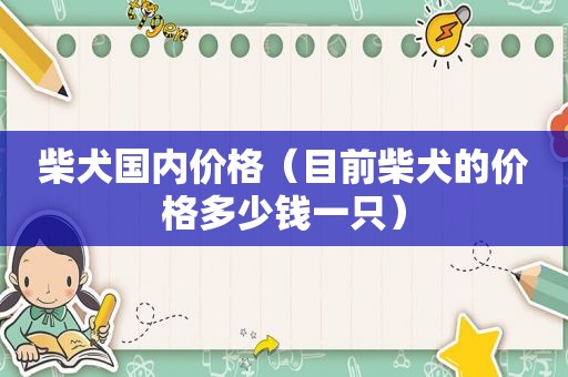 柴犬国内价格（目前柴犬的价格多少钱一只）