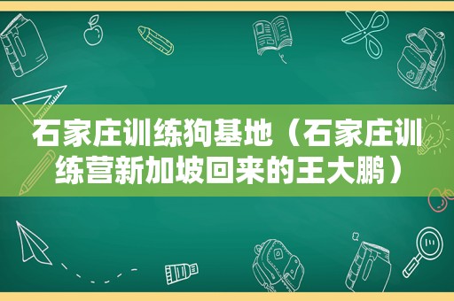 石家庄训练狗基地（石家庄训练营新加坡回来的王大鹏）