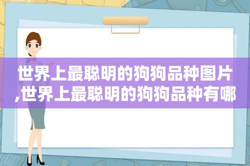 世界上最聪明的狗狗品种图片,世界上最聪明的狗狗品种有哪些