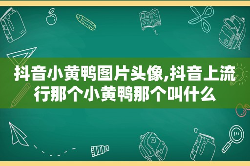 抖音小黄鸭图片头像,抖音上流行那个小黄鸭那个叫什么