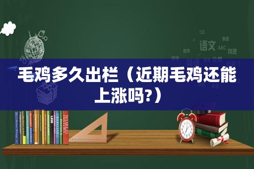 毛鸡多久出栏（近期毛鸡还能上涨吗?）