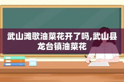 武山滩歌油菜花开了吗,武山县龙台镇油菜花