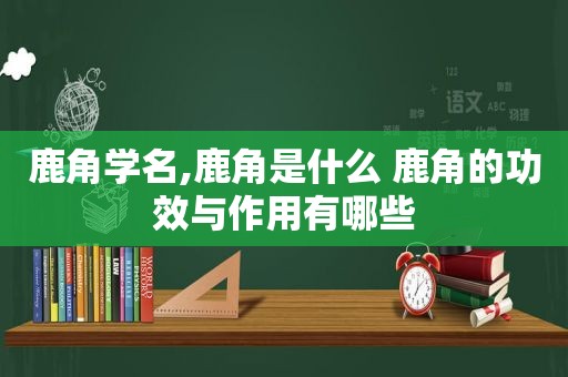 鹿角学名,鹿角是什么 鹿角的功效与作用有哪些