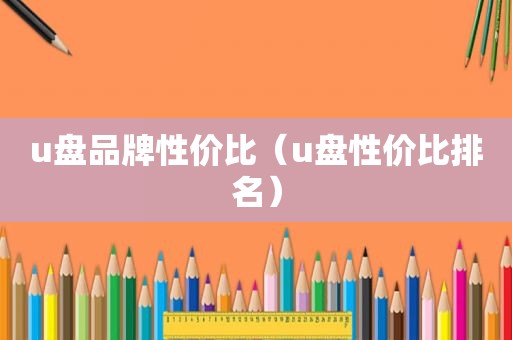 u盘品牌性价比（u盘性价比排名）