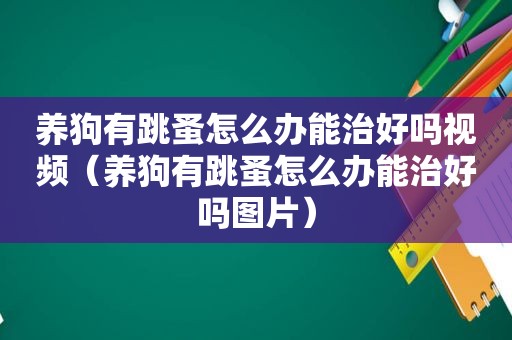 养狗有跳蚤怎么办能治好吗视频（养狗有跳蚤怎么办能治好吗图片）