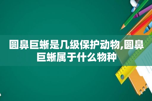 圆鼻巨蜥是几级保护动物,圆鼻巨蜥属于什么物种