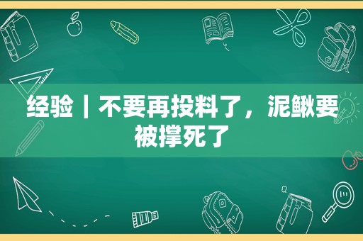 经验｜不要再投料了，泥鳅要被撑死了