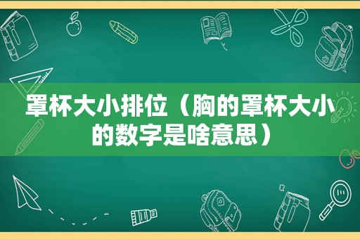 罩杯大小排位（胸的罩杯大小的数字是啥意思）