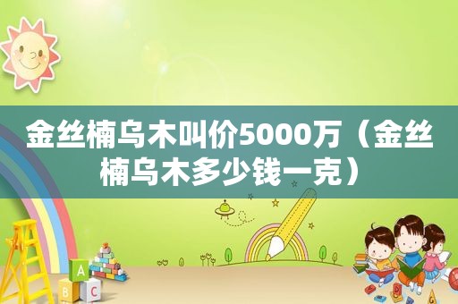 金丝楠乌木叫价5000万（金丝楠乌木多少钱一克）