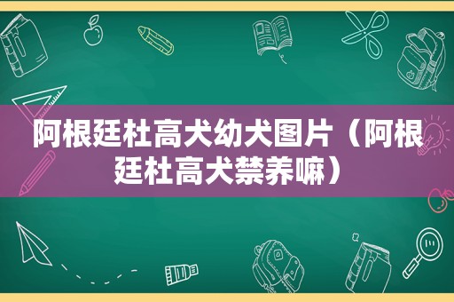 阿根廷杜高犬幼犬图片（阿根廷杜高犬禁养嘛）