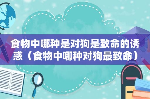 食物中哪种是对狗是致命的诱惑（食物中哪种对狗最致命）