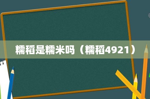 糯稻是糯米吗（糯稻4921）