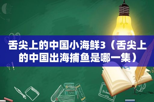 舌尖上的中国小海鲜3（舌尖上的中国出海捕鱼是哪一集）