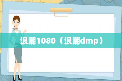 浪潮1080（浪潮dmp）