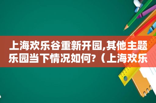 上海欢乐谷重新开园,其他主题乐园当下情况如何?（上海欢乐谷今天开放的项目）