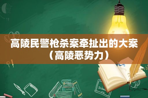 高陵民警枪杀案牵扯出的大案（高陵恶势力）