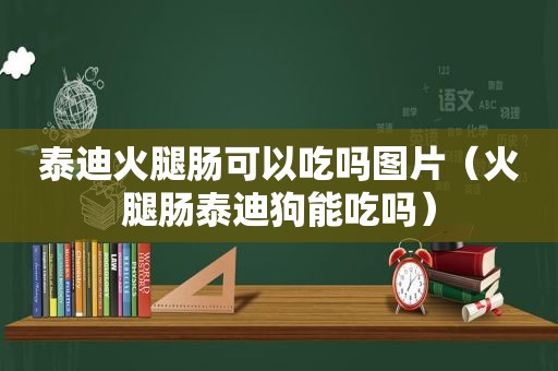 泰迪火腿肠可以吃吗图片（火腿肠泰迪狗能吃吗）