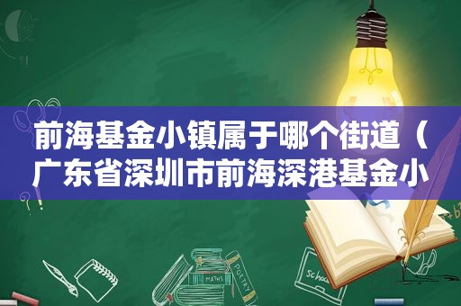 前海基金小镇属于哪个街道（广东省深圳市前海深港基金小镇）