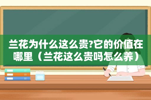 兰花为什么这么贵?它的价值在哪里（兰花这么贵吗怎么养）