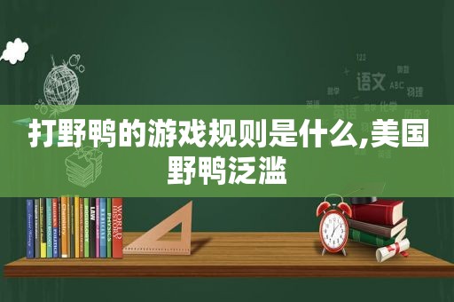 打野鸭的游戏规则是什么,美国野鸭泛滥