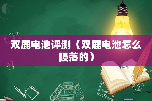 双鹿电池评测（双鹿电池怎么陨落的）