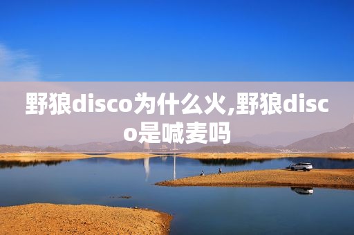 野狼disco为什么火,野狼disco是喊麦吗