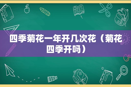 四季菊花一年开几次花（菊花四季开吗）