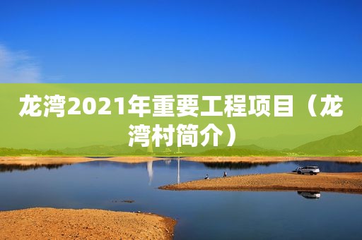 龙湾2021年重要工程项目（龙湾村简介）